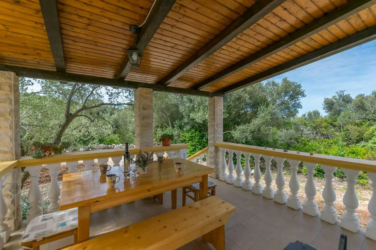 House Grosso Villa Dobropoljana Holiday home